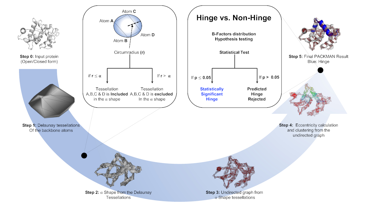 ../_images/hinge_prediction_algorithm_method1.jpg